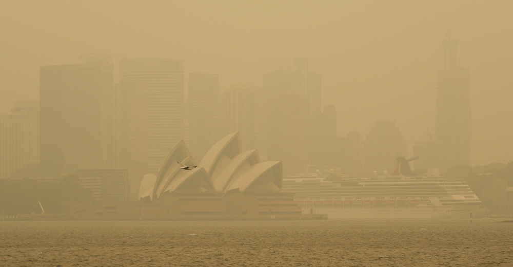 SYDNEY, AUSTRALIA. DECEMBER 10 2019. Sydney seagull and smoke(M. W. Hunt)s