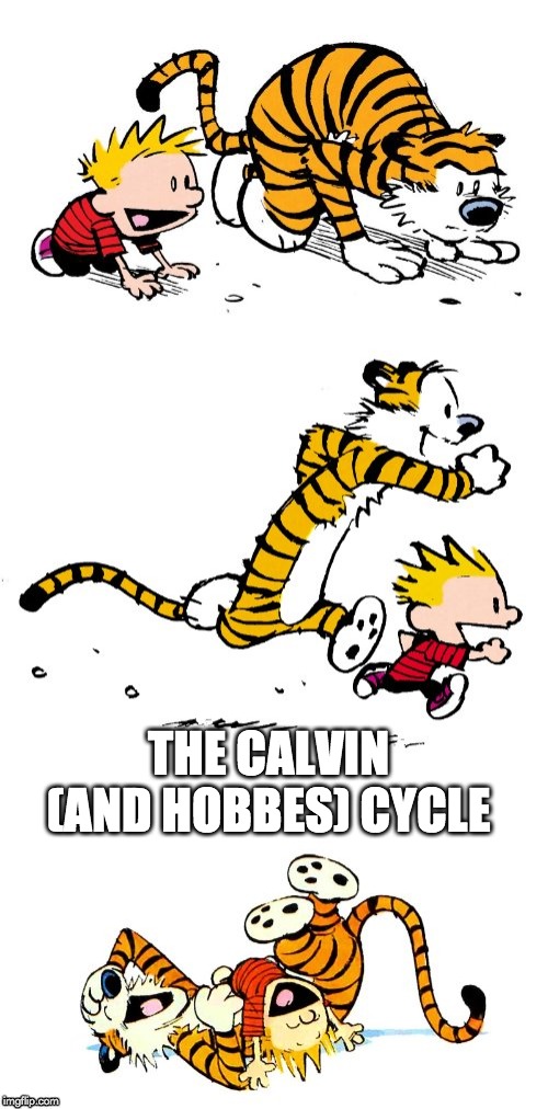 the calvin (and hobbes) cycle meme
