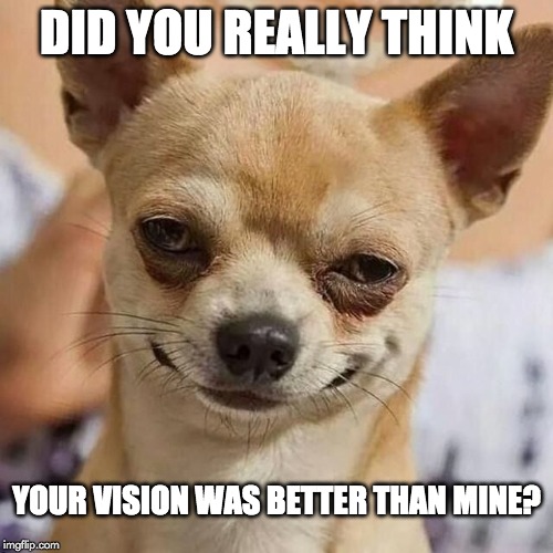 did you really think meme