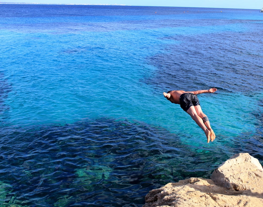 Diving into the sea( Christian Giaffrey)S