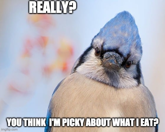you think i'm picky about what i eat meme