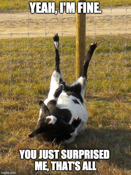 fainting goats meme