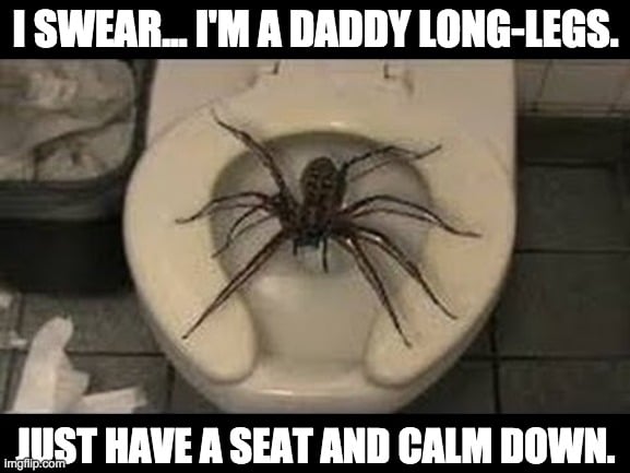 i swear.. i am daddy long leg meme