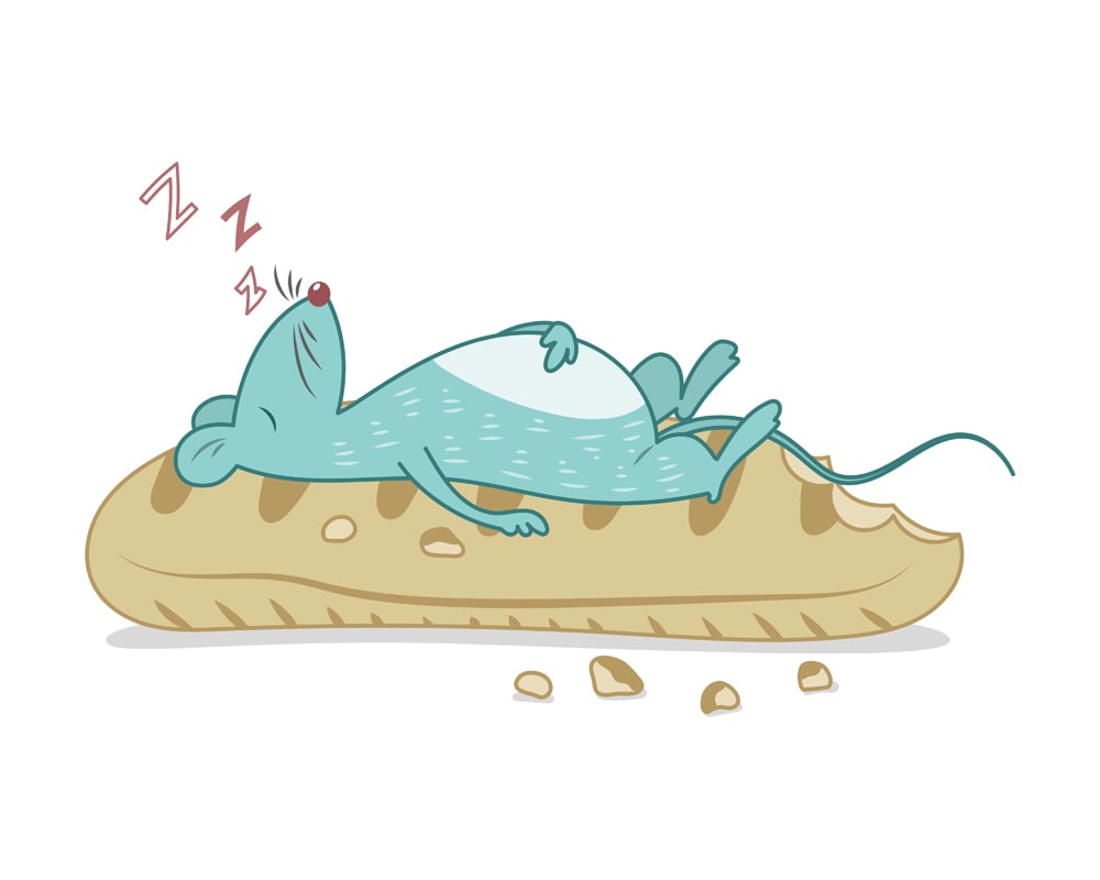 Ilustração vetorial de rato deitado sobre pão (Moomchak V. Design) S