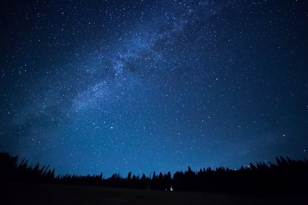 Céu noturno azul escuro com muitas estrelas acima do campo de árvores (Pozdeyev Vitaly) s