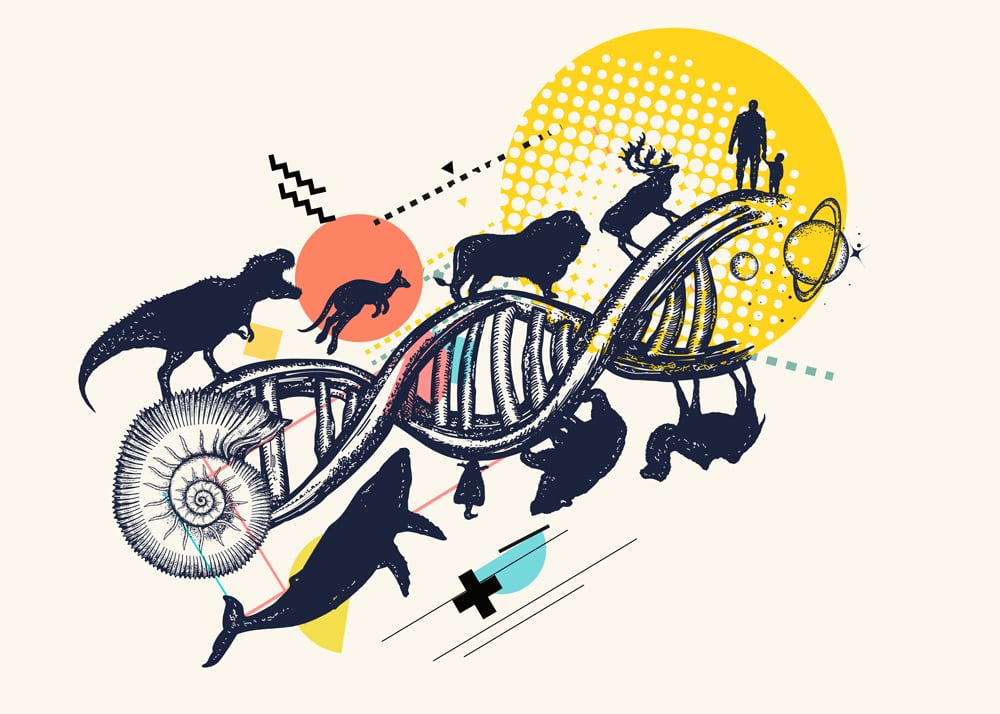 Evolution scale from unicellular organism to mammals(intueri)s