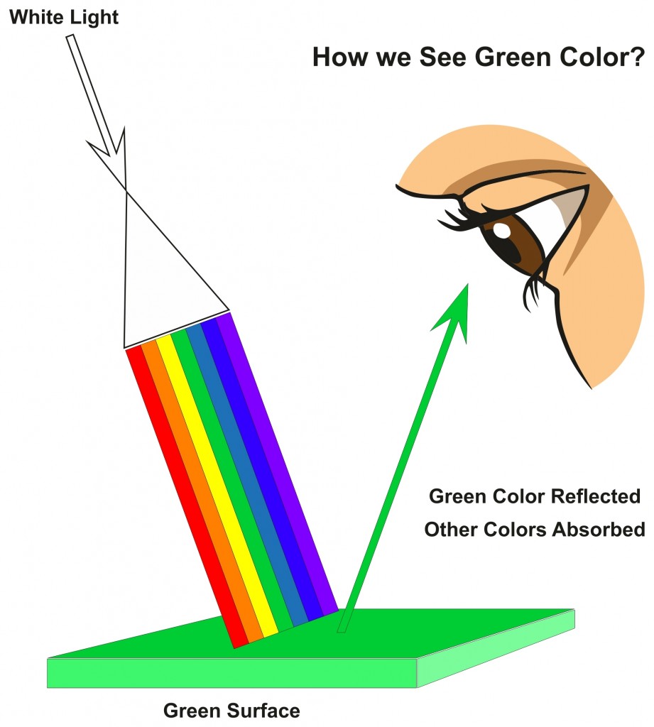 Como vemos o diagrama de infográfico de cor verde (udaix) s