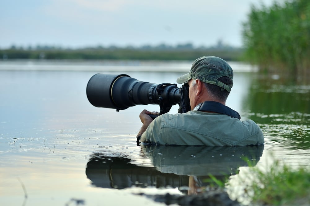 Wildlife Photography Free Online Course