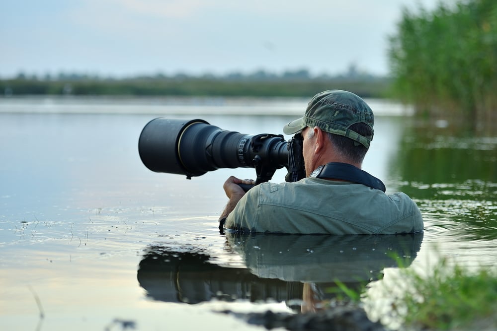fotógrafo de vida selvagem ao ar livre, parado na água (aaltair) s