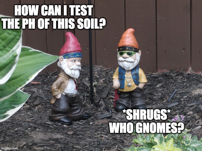 How can i test the ph of this soil meme