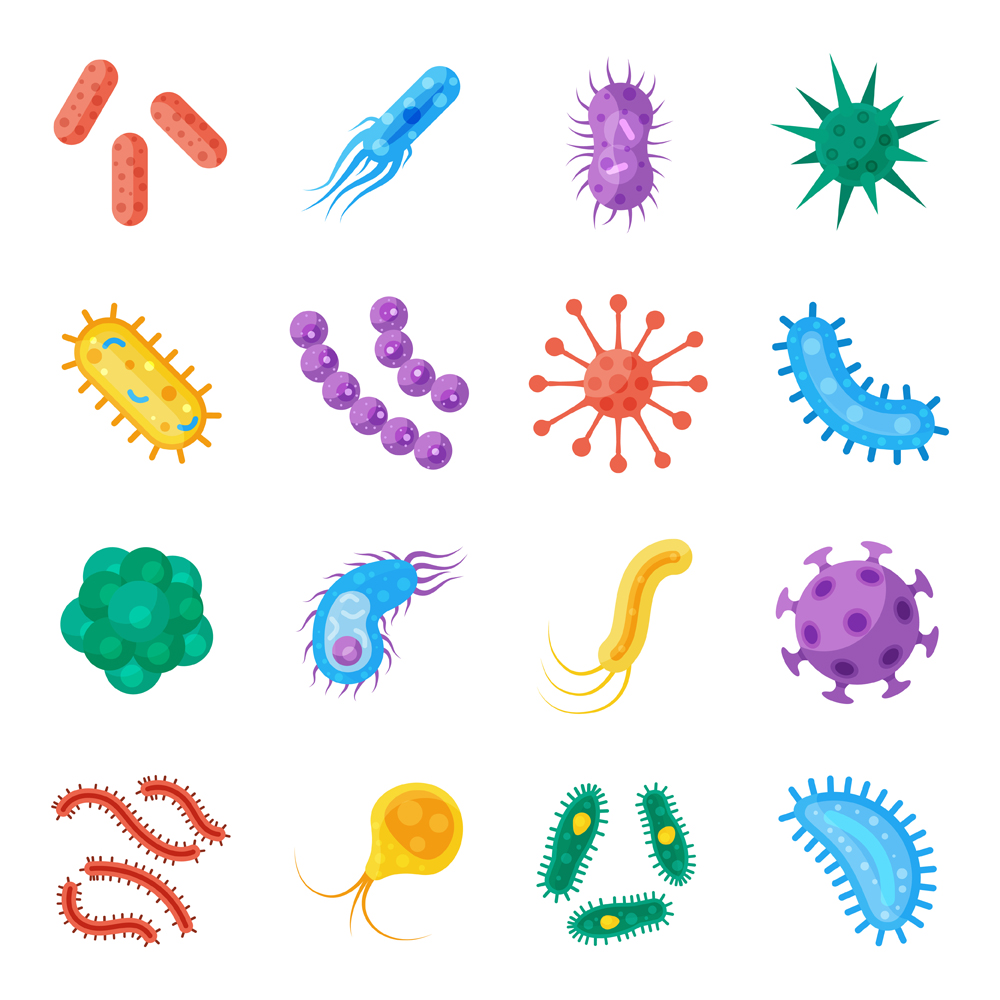 Bacteria and germs colorful set, micro-organisms disease-causing object(VikiVector)s