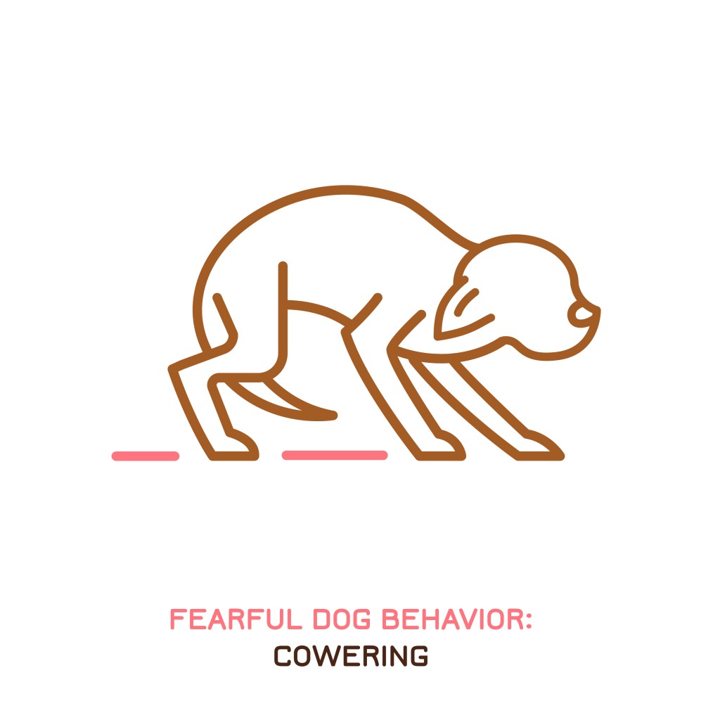 Dog fearful behavior icon. Domestic animal or pet tail language(Double Brain)s