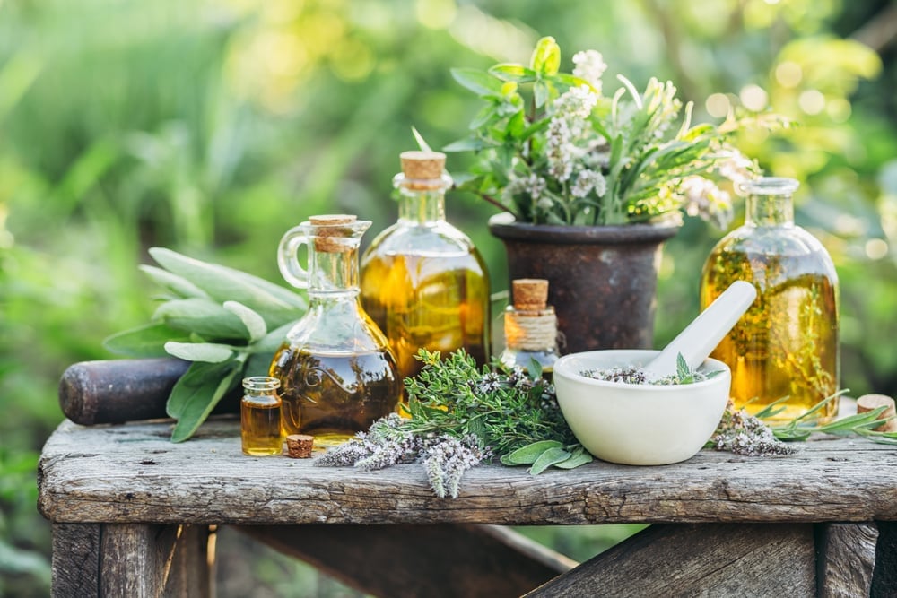 Fresh herbs from the garden and the different types of oil(Valentina_G)s