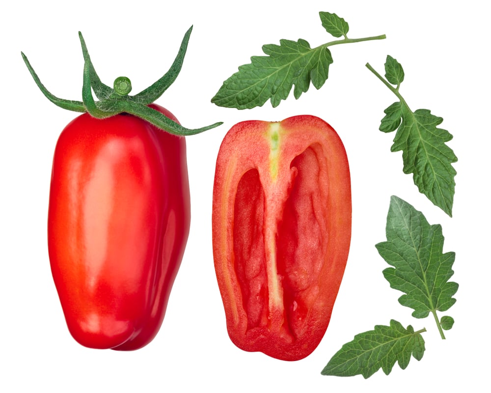 San Marzano Lampadina 2 tomates (Hortimages) S
