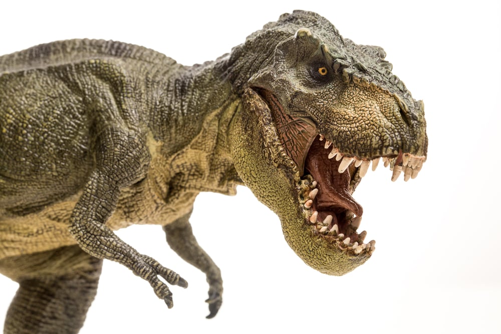 Tyrannosaurus rex isolated in white(sruilk)s