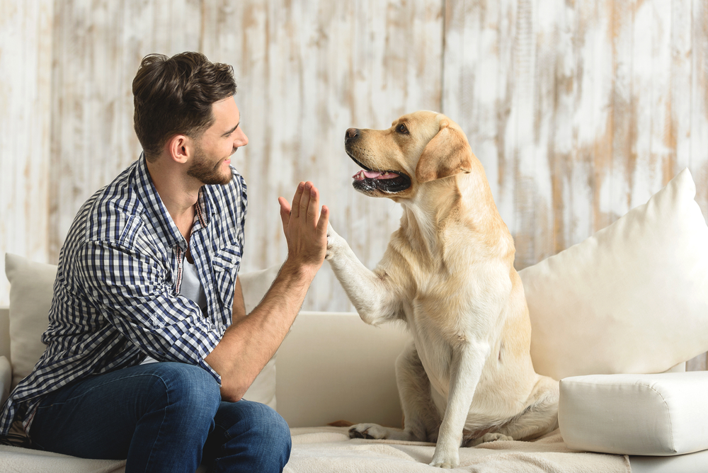 cara feliz sentado em um sofá olhando para o cachorro (Olena Yakobchuk) s
