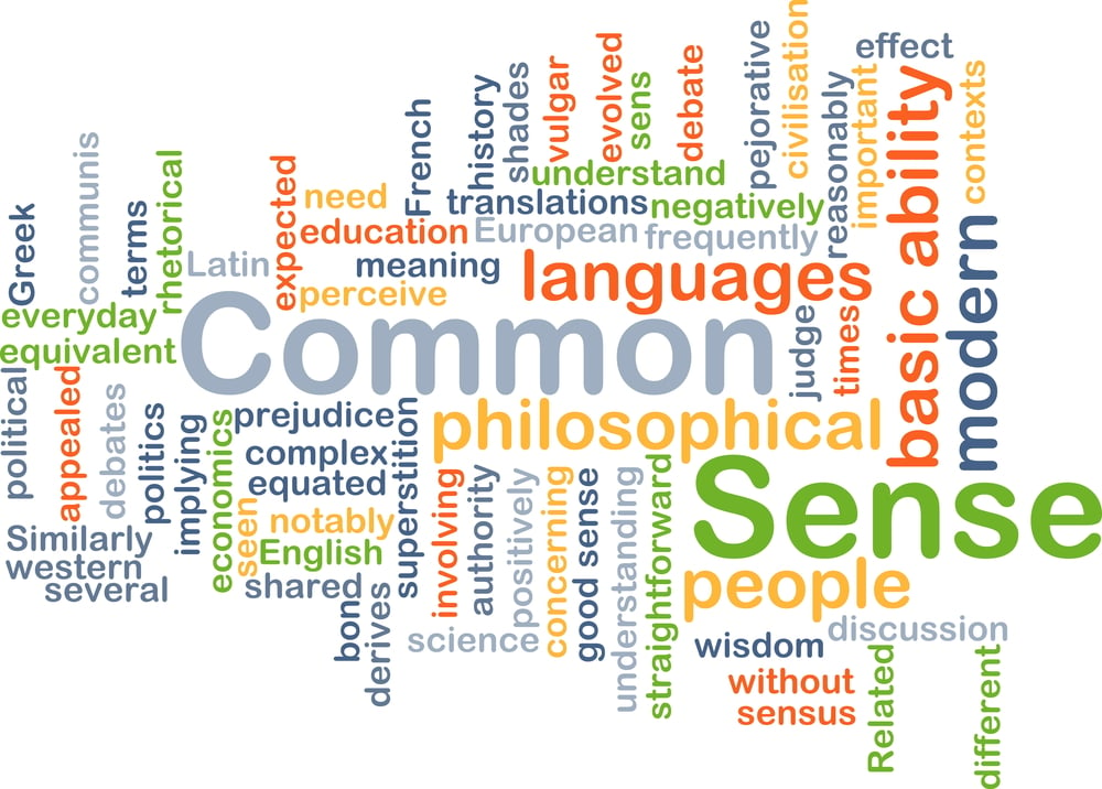 wordcloud illustration of common sense(Kheng Guan Toh)s