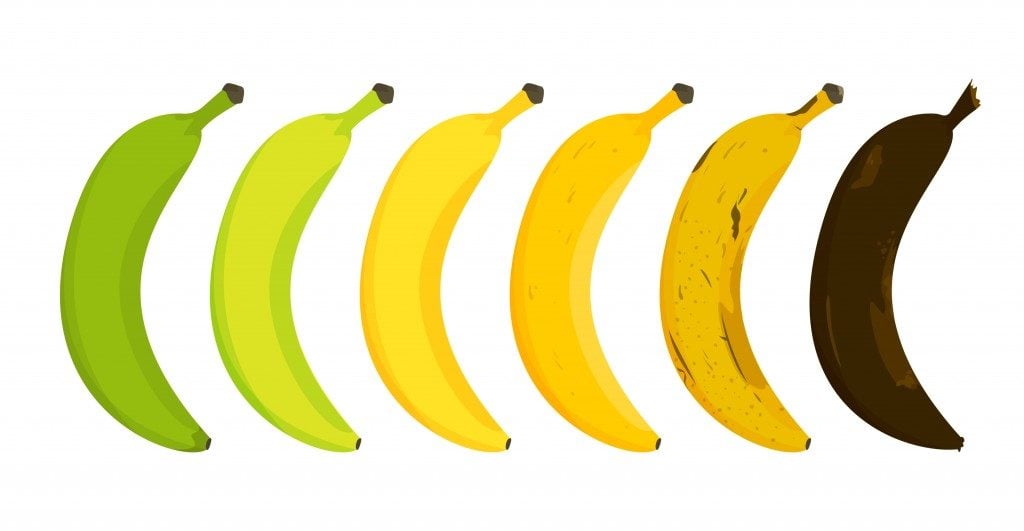 Banana ripeness stages vector isolated(ImLucky)s