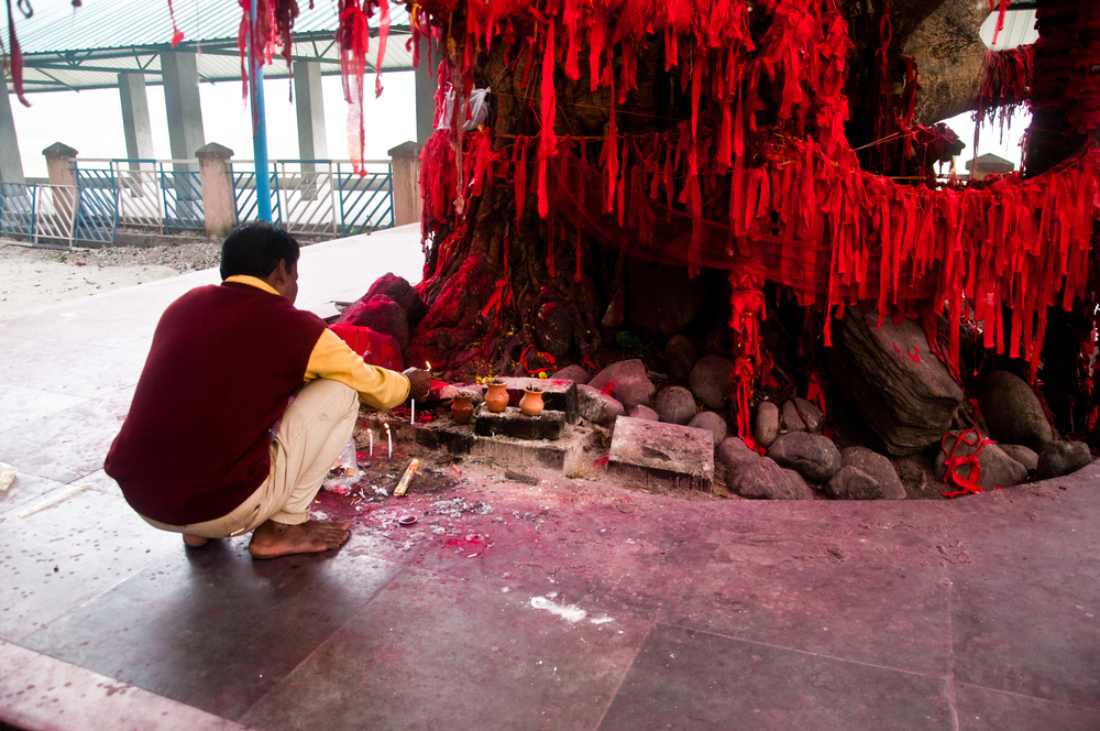 Pessoas adorando a árvore de oração na área do Templo de Jatileswar (Creativesam) s