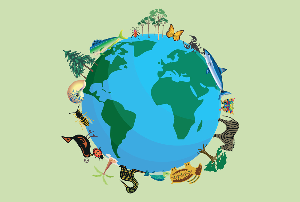 Planeta Terra com animais e plantas para a biodiversidade (Monphoto) S
