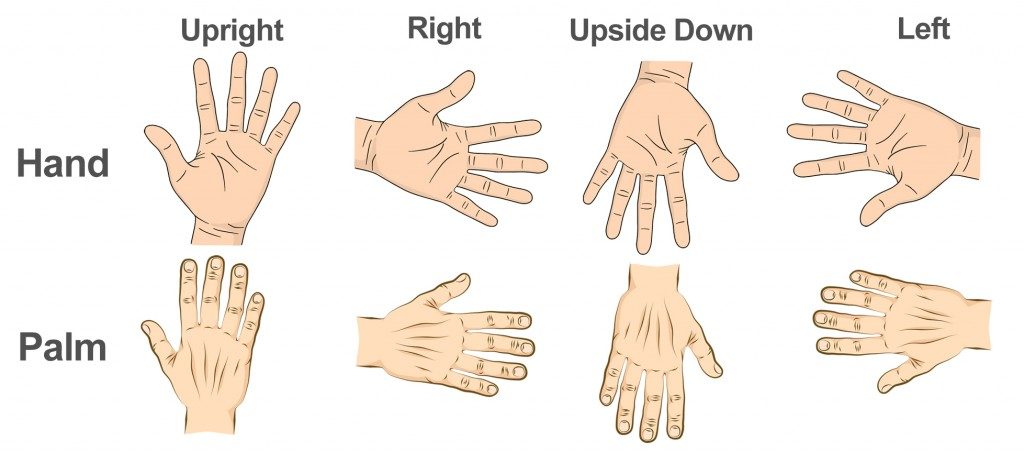 As diferentes orientações das mãos que os pesquisadores mostraram aos seus participantes