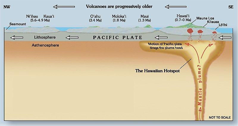 Diagrama transversal de ponto de acesso Havaí
