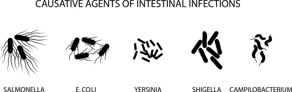 ILUSTRAÇÃO DE AGENTES CAUSATIVOS DE INFECÇÕES INTESTINAIS AGUDAS (Artemida-psy) s