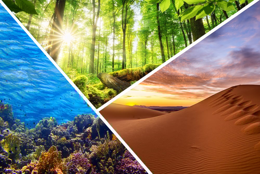 Nosso planeta Terra e seus diversos ecossistemas