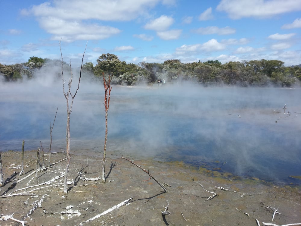 Rotorua's hot springs and mud pools sulphur and manuka healing in New Zealand(Esra ulukan)s