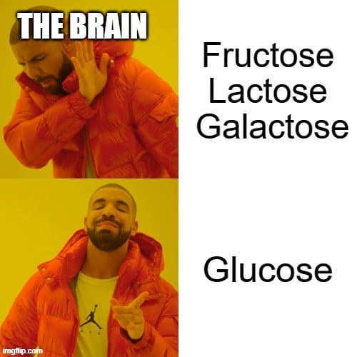 Fructose Lactose Galactose meme