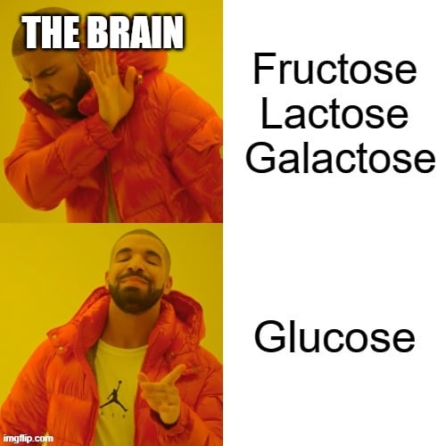 Meme de frutose, lactose e galactose