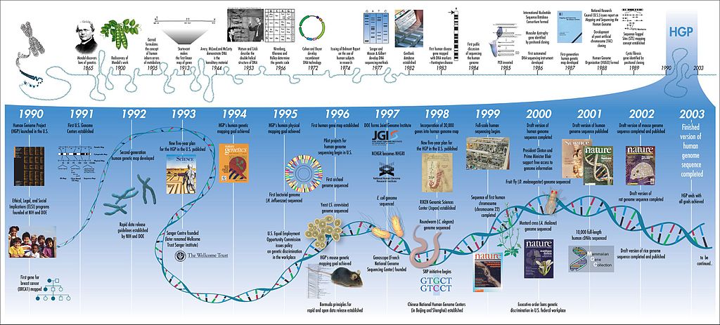 Cronograma do Projeto Genoma Humano