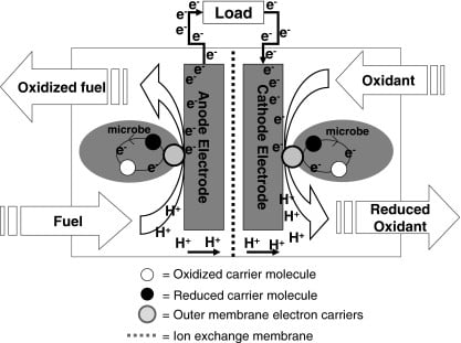 Microbial Fuel Cell