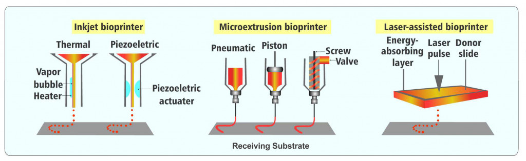 Three Bioprinting Techniques