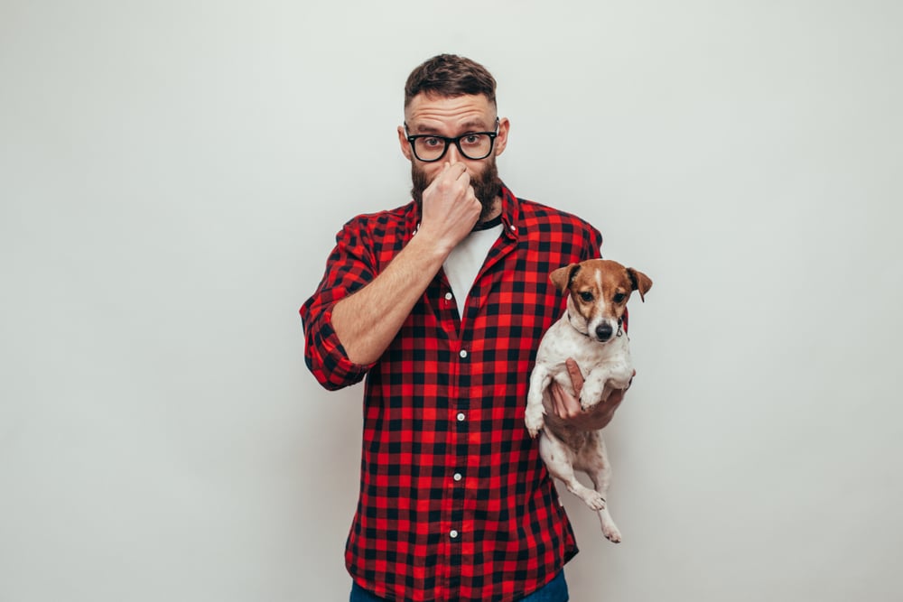 Homem infeliz com barba segurando seu cachorro sujo. Animal de estimação com cheiro ruim precisa ser lavado (san4ezz) S