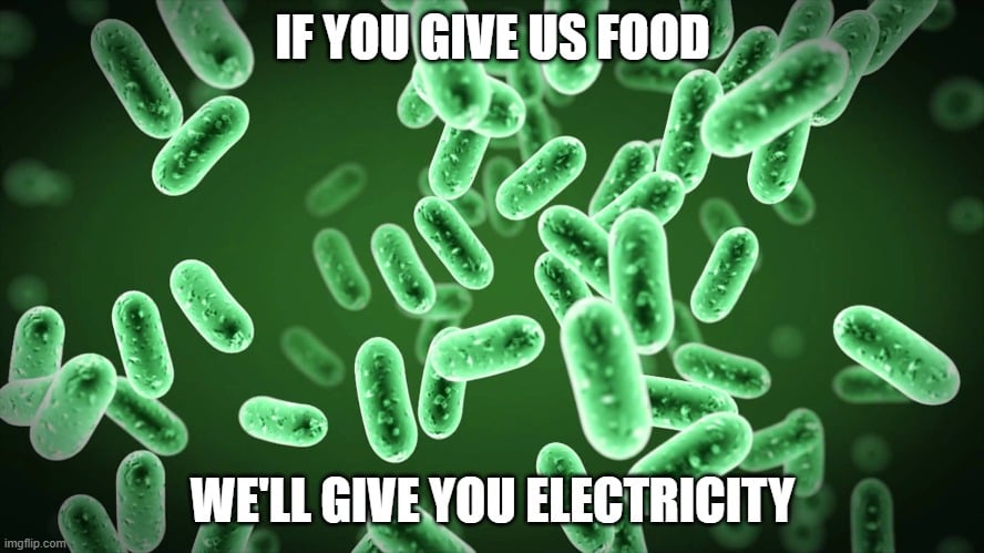 if you give us food meme