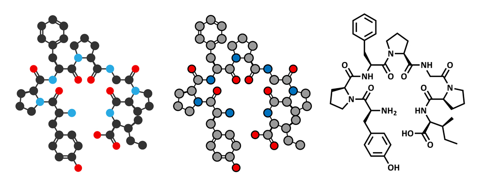 Beta-casomorphin peptide 7 molecule(StudioMolekuul)s