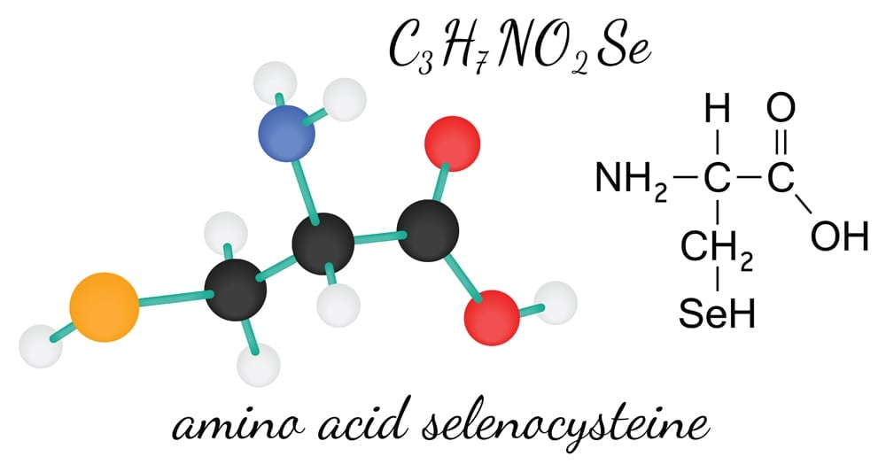 C3H7NO2Se selenocysteine 3d amino acid molecule isolated on white(Shmitt Maria)s
