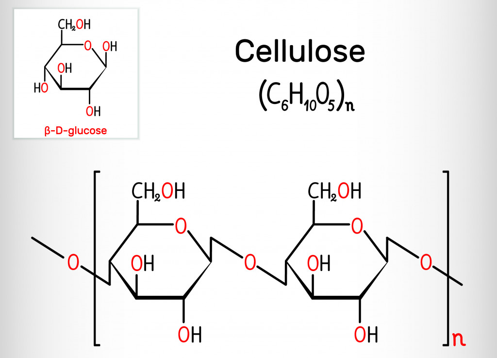 Molécula de polissacarídeo de celulose (Bacsica) s