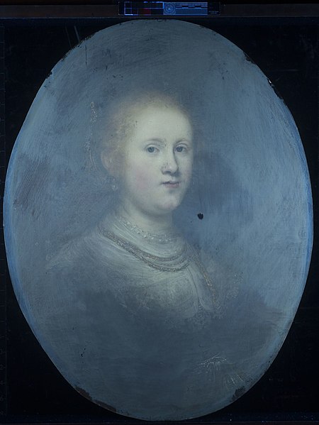 Portrait of a Young Woman