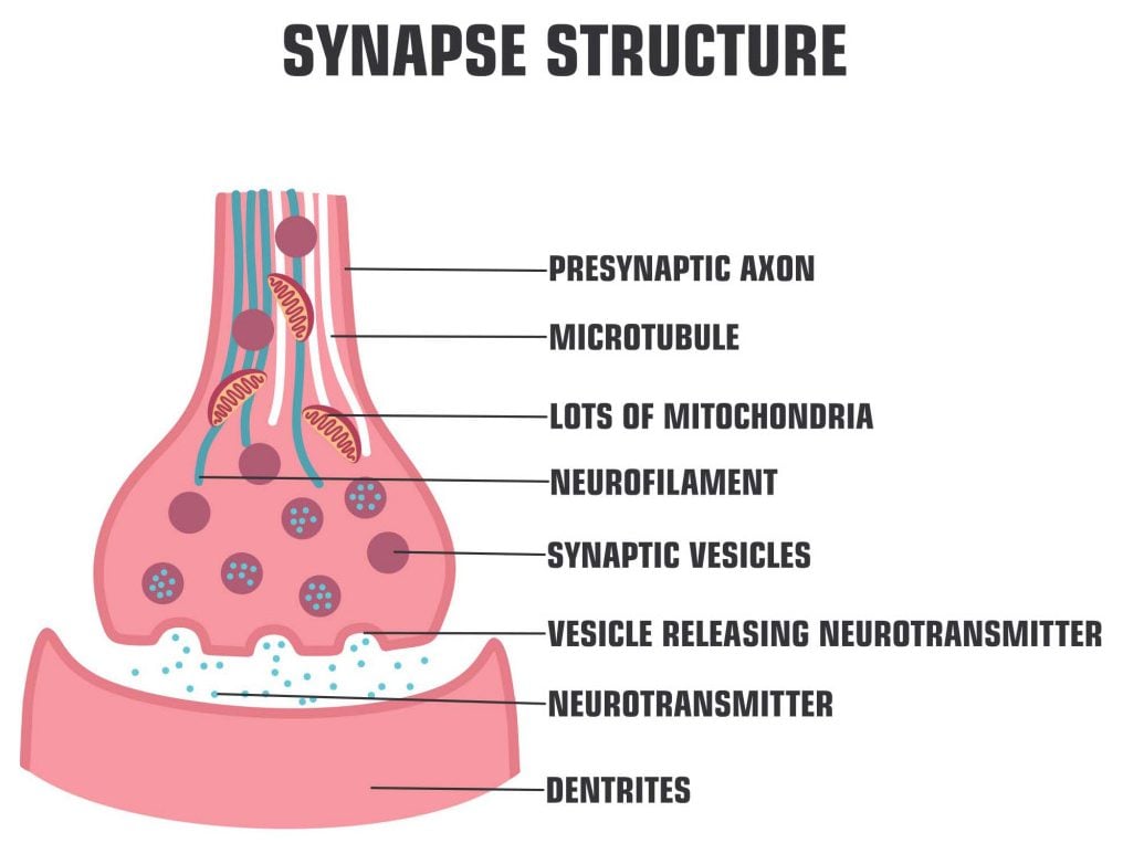 Vector scientific icon structure synapse(ShadeDesign)s