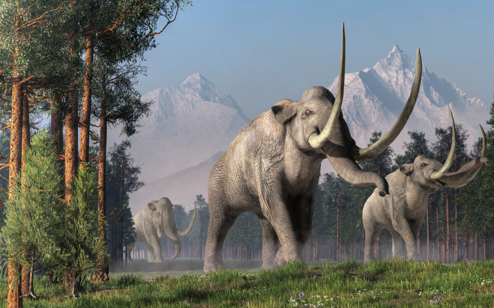 The Columbian Mammoth is an extinct animal that inhabited warmer regions of North America during the Pleistocene(Daniel Eskridge)s