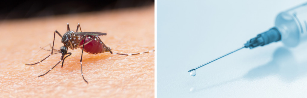 Close de um mosquito sugando sangue e uma seringa médica com uma gota de solução injetável