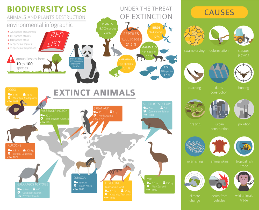 Global environmental problems. Biodiversiry loss infographic(Olha1981)s