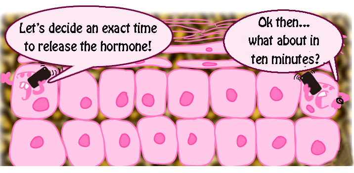 cell signalling