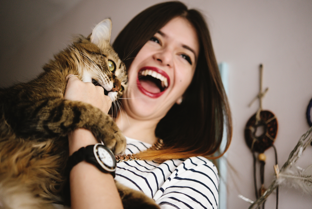 stylish hipster woman playing with her cat in modern room(Bogdan Sonjachnyj)s