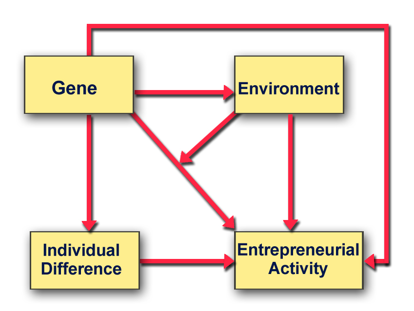 Um esquema que mostra como os genes influenciam o empreendedorismo
