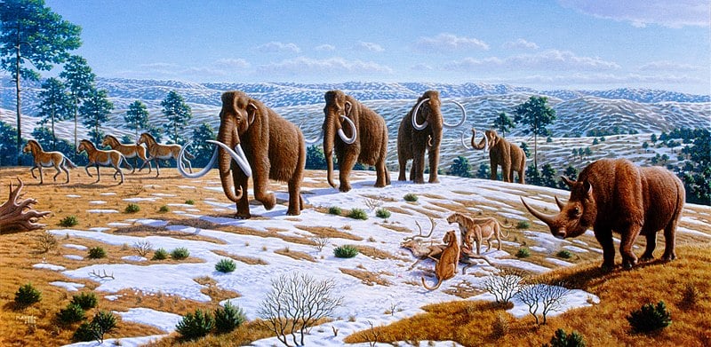 Ice age fauna of northern Spain