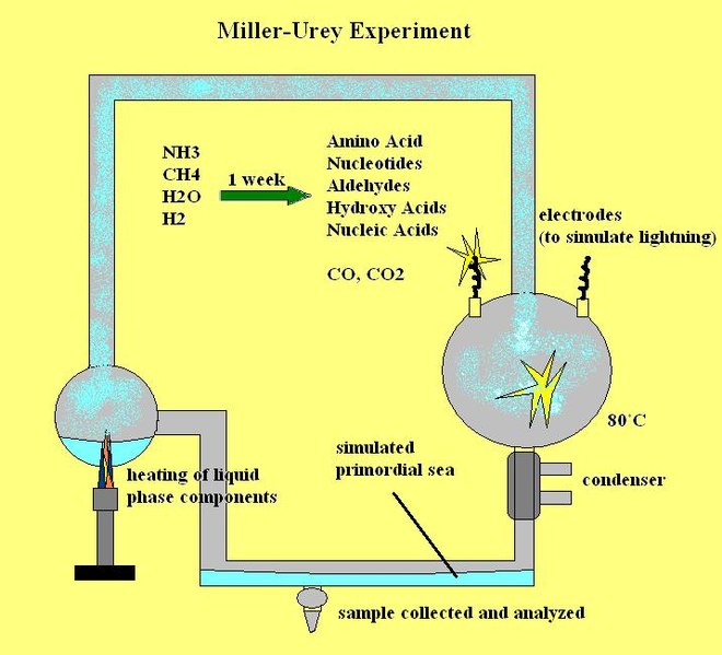 Miller-Urey