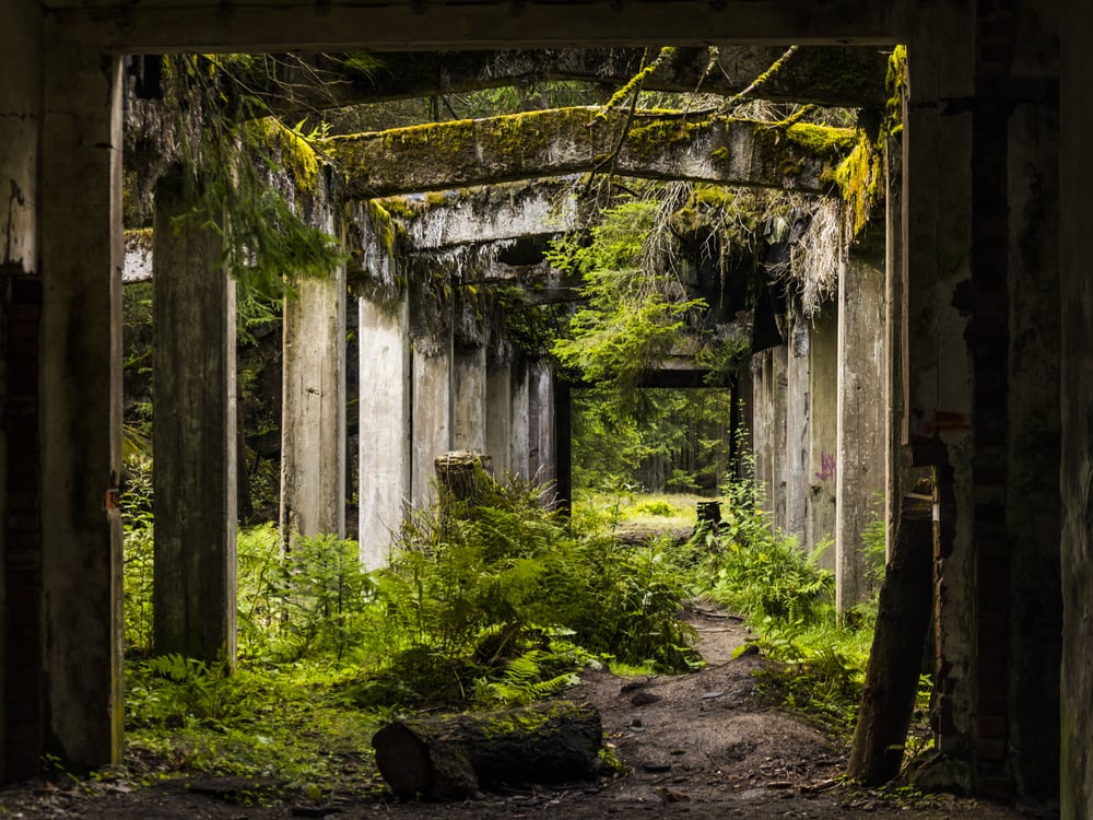 Old dirty broken ruined abandoned building among Bog, Facade ruins of industrial factory(Petr Novacek)s